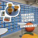 귤하우스 | 제주 탑동 핫플레이스 "귤메달 하우스" 방문 후기! | 메뉴 가격 주차 아쉬운점 총정리