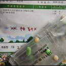 유스약국 | [2세 만들기 2차도전 끝, 3차 도전] 유스트로겐질정, 클로미펜 복용 및 나팔관조영술 후기