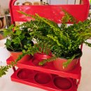 이로운라탄 이미지