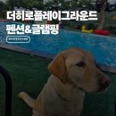 동원공업사 | 포천 대형견 수영장 펜션 _ 더히로플레이그라운드 글램핑 스탠다드