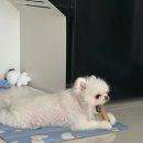 삼미가든 이미지