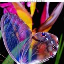 소망부동산공인중개사사무소 이미지