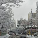 정왕대로 이미지