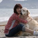 강아지와 나 이미지