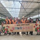 자원농장 이미지