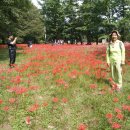 아름여행사 - 화성시 삼천병마로 1276 | 아름여행사