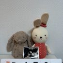 서초하나산부인과의원 이미지