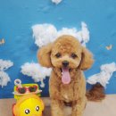 소사미용실 이미지