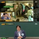 코끼리브루어리