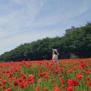 삼문풋살경기장 이미지
