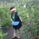 두현농장 네이버블로그