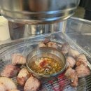 탄천갈매기