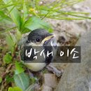 이소농장 이미지