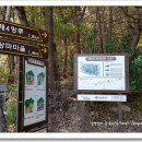 상마약국 이미지