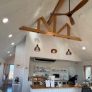 프로퍼밀도 이미지