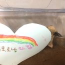 로나코코