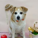 쁘띠아키 이미지