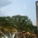 정근봉콩나물국밥 이미지