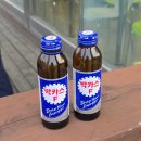 우리들 랜드 | 에버랜드 플랜잇 예약 시간 추천 사파리 케데헌 불꽃놀이 일정 먹거리 후기