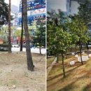 문화의거리쉼터 이미지