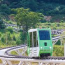 철원한우파크 이미지