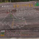 가산초 품걸분교장 | 야시대리 임도(상걸리-전망대-늘목고개-야시대리-가락재) 라이딩