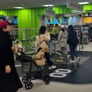 반려동물 토탈 케어 이미지