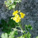 봉명축사 이미지