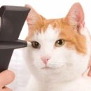 이리온 동물병원 이미지