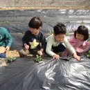 위경화농장 이미지