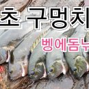 벵에돔 낚시 (Opaleye Fishing)