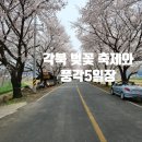 풍각시장 | 지난해에 이어 올해도 각북 벚꽃 축제와 풍각 5일장을 다녀왔습니다