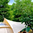 용천토리 오토캠핑장 이미지