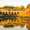 [11월 월담] 수원팔색길과 함께하는 감성여행 | 서울 근교 단풍 명소 방화수류정 cnn 명소 추천