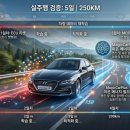매직카플러스 | [실제 검증 완료: 차량 정비 후 ECU 초기화, 그리고 매직카플러스의 완벽한 부활]