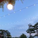 에스타시온 이미지