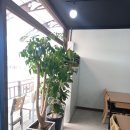 안우정1호점 이미지