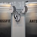 크로스핏 앤츠 이미지