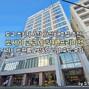 토세이 코코네 츠키지 긴자 호텔 프리미엄 라지 트윈룸 2박3일 숙박 후기