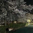 첨단체육공원(운동장) 이미지