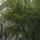 도화2·3동 행정복지센터 이미지