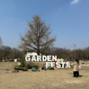 살구꽃가든 | 서울숲 벚꽃 실시간 개화상황 데이트 코스 카페 추천