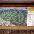 요산회 제23회 산행후기(2011년 4월 2일) 이미지