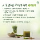 신풍영농조합법인 이미지