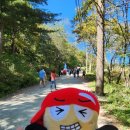 무산목장 이미지