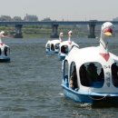 오리 어린이공원 이미지