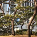 자경목장 이미지