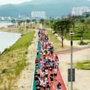 낙동강체육공원 농구장 이미지