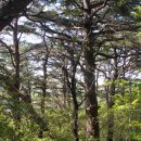 숙원농장 이미지