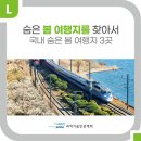 국내 숨은 봄 여행지